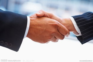 佛山市高明區荷城路思通五金廠 公司簡介