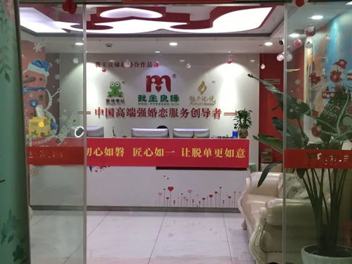 六萬元婚介陷阱 高校女教授的情感危機